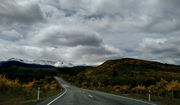 cecilia-skaf-road-weg-landschap-unsplash.jpg