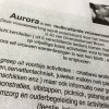 Puzzel Aurora