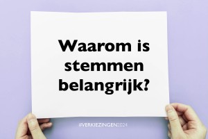 verkiezingen2024IC.jpg
