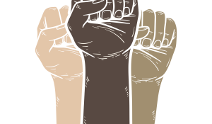 no racism